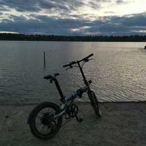 2020 Qualisports Foldable E bike Silver, gray or bare metal