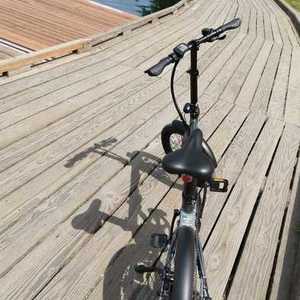 2020 Qualisports Foldable E bike Silver, gray or bare metal