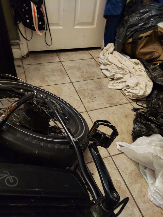 2019 Rad Power Bikes Rad Rover Mini 4