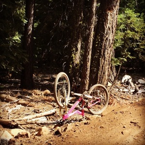 2008 Specialized Stumpjumper Pink