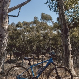 2018 Giant Roam Disc 3 Blue