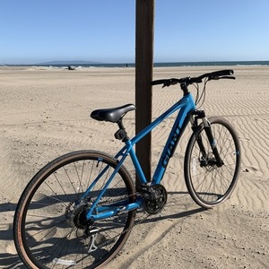 2018 Giant Roam Disc 3 Blue