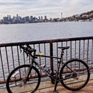 2021 Specialized Diverge Elite E5 Green