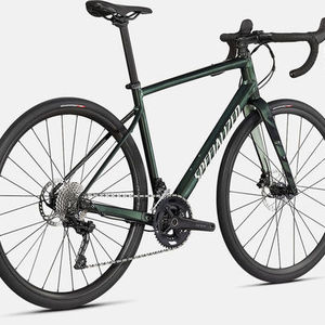 2021 Specialized Diverge Elite E5 Green