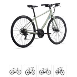 2021 Giant Alight3 comfort-GU M Green