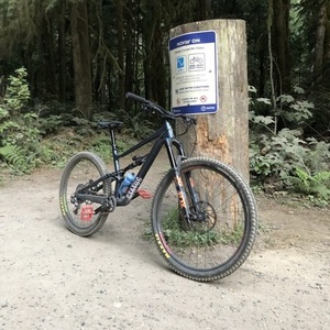 2021 Specialized Status Blue
