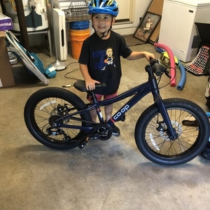 2021 Specialized Status Blue