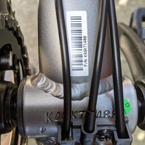 2021 Giant Cypress DX Silver, gray or bare metal