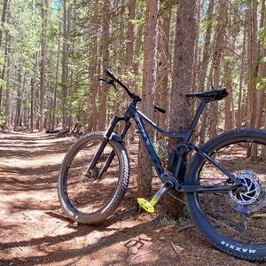 2021 Giant Stance II Black