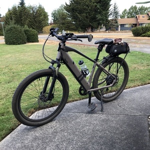 2020 Ride1Up LMT’D Brown and Black