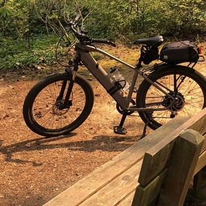 2020 Ride1Up LMT’D Brown and Black