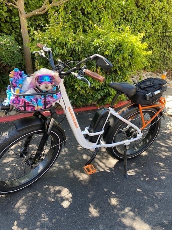 Bike photo