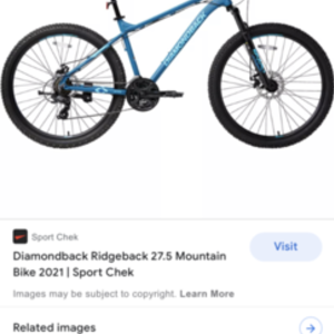 2021 Diamondback Ridgeback Blue