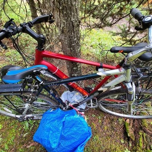 2020 Marin Bikes San raphael ds2 Red