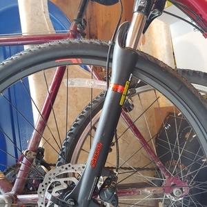 2020 Marin Bikes San raphael ds2 Red