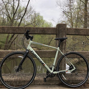 2017 Specialized Sirrus Sport Green and Silver, gray or bare metal