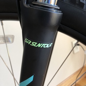 2019 Specialized Pitch Teal