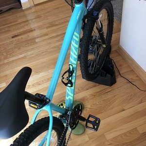 2019 Specialized Pitch Teal