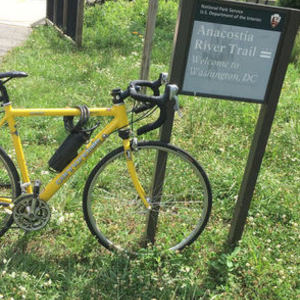 Cannondale Silk Road 500 Yellow or Gold