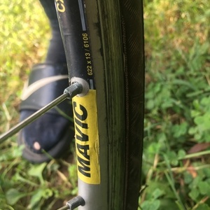 Cannondale Silk Road 500 Yellow or Gold