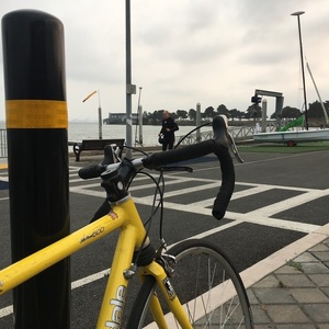 Cannondale Silk Road 500 Yellow or Gold