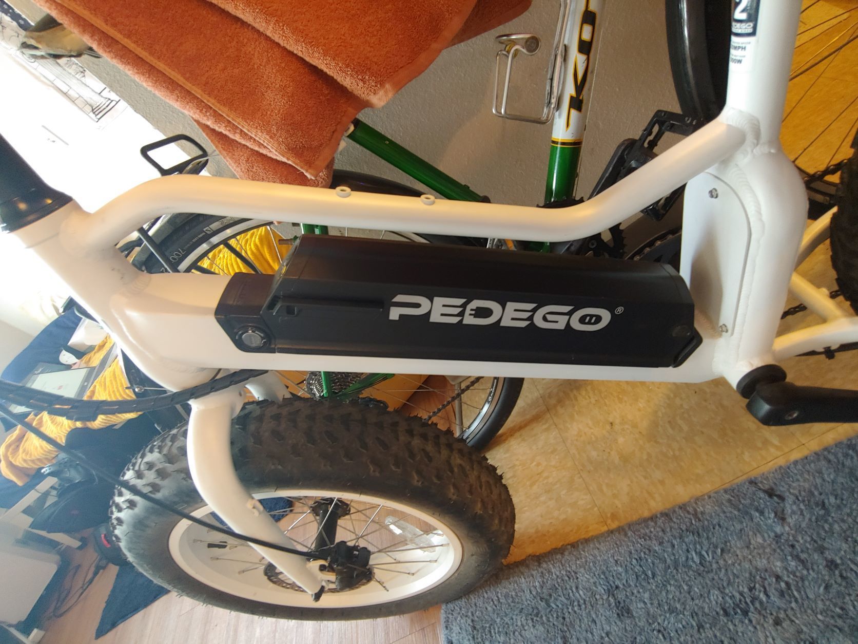 2021 Pedego Element