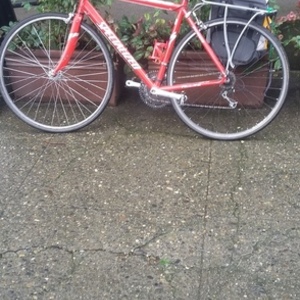 Specialized Allez Red, White, and Black