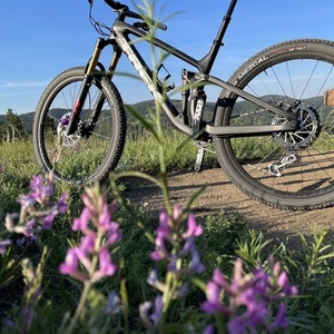 2021 Trek Fuel EX 9.9 Black