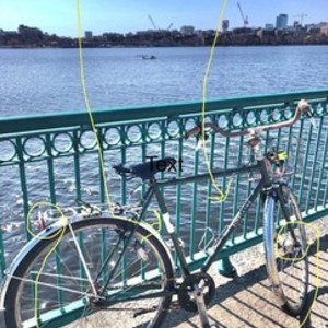 2012 Rivendell Bicycle Works SimpleOne Green