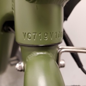 2020 Rad Power Bikes RadRunner Green