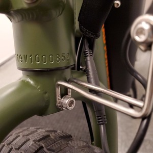 2020 Rad Power Bikes RadRunner Green