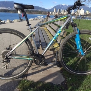 GT Bicycles Timberline Silver or Gray