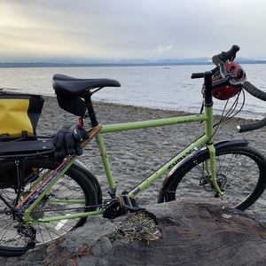 2020 Surly Disc Trucker Green