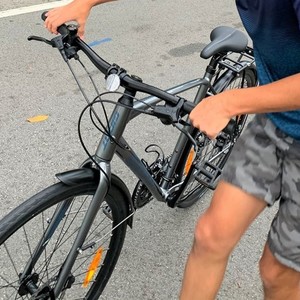 2020 Giant 19.5 inch Silver, gray or bare metal