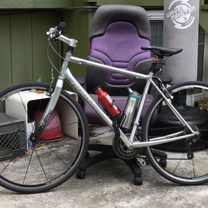 Giant FCR 2 Silver, gray or bare metal