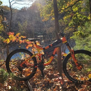 2016 Giant Reign Orange