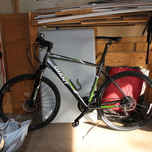2015 Giant 15 Rove 2 XL Silver, gray or bare metal