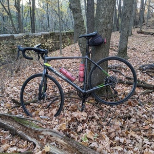 2015 Trek 720 Disc Silver, gray or bare metal