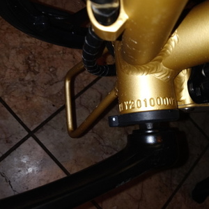 2021 Ego Bike LLC Ecotric Yellow or Gold