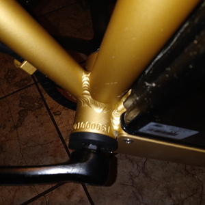 2021 Ego Bike LLC Ecotric Yellow or Gold