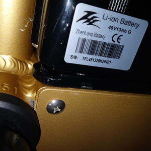 2021 Ego Bike LLC Ecotric Yellow or Gold