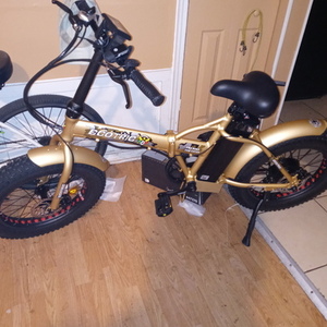 2021 Ego Bike LLC Ecotric Yellow or Gold