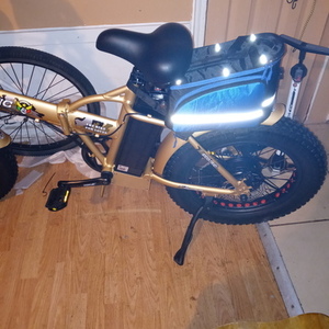2021 Ego Bike LLC Ecotric Yellow or Gold