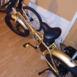 2021 Ego Bike LLC Ecotric Yellow or Gold