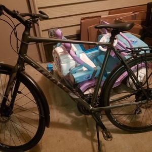 2021 Giant Escape