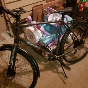 2021 Giant Escape Silver, gray or bare metal