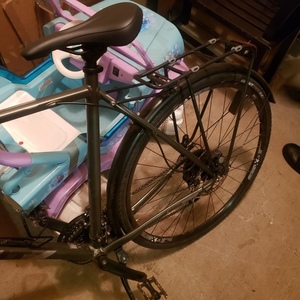 2021 Giant Escape Silver, gray or bare metal