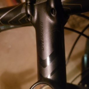 2021 Giant Escape Silver, gray or bare metal