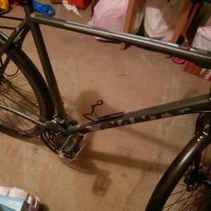 2021 Giant Escape Silver, gray or bare metal