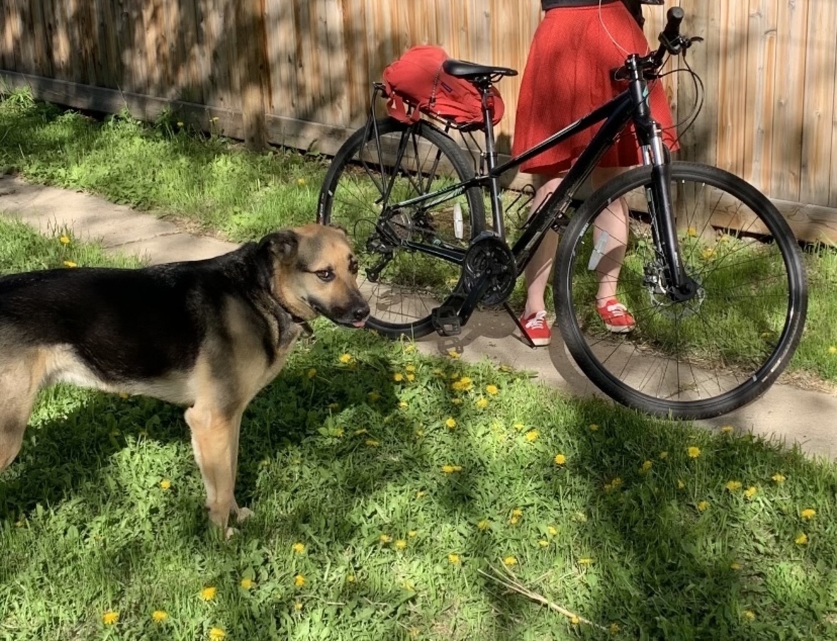 Bike photo